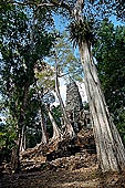 Angkor Thom - Prah Palilay temple surrounded by trees